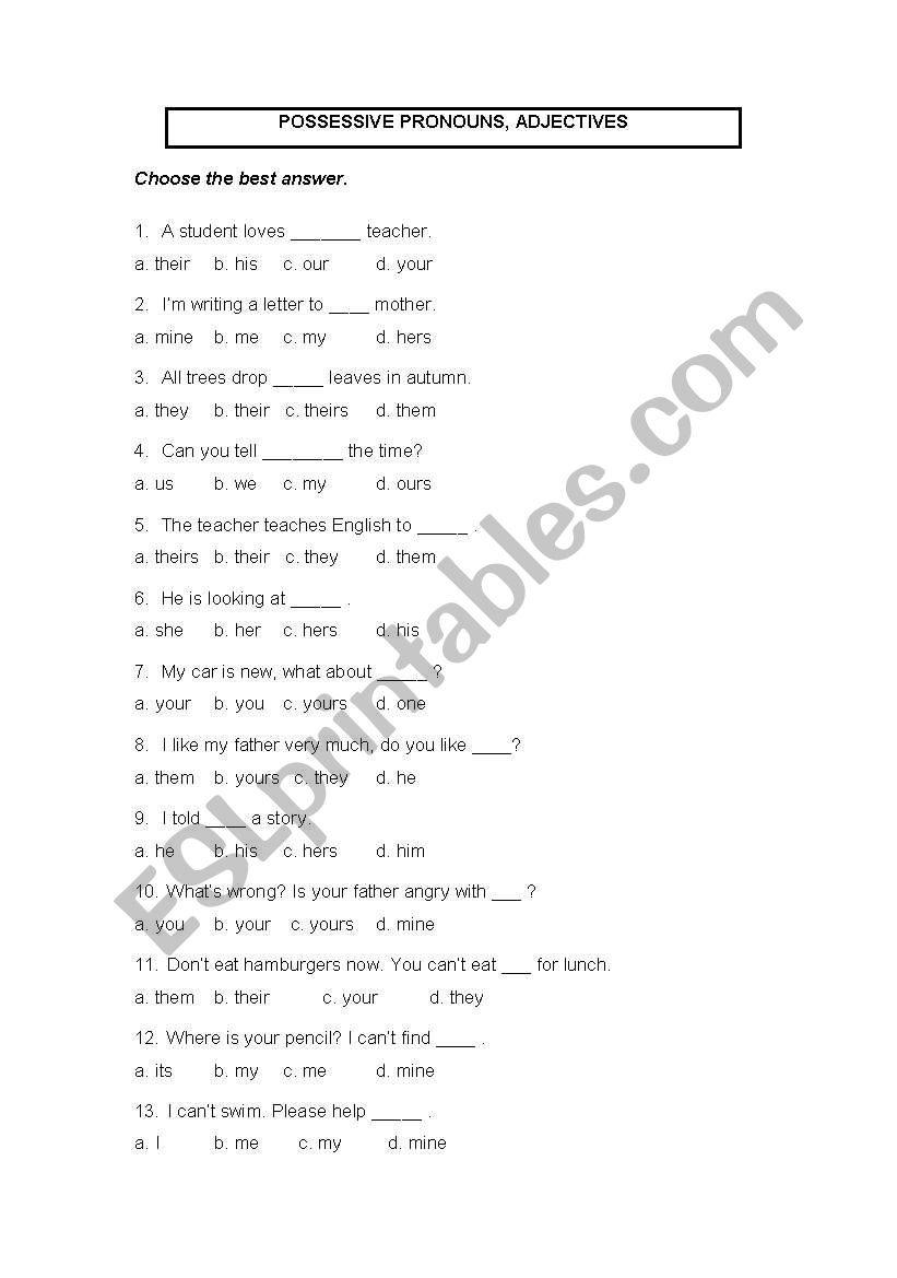 POSSESSIVE PRONOUNS, ADJECTIVES