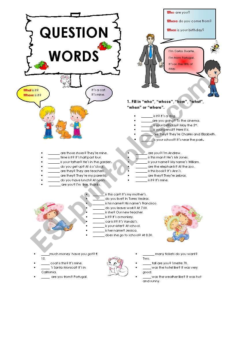 Question words (19.08.08) worksheet