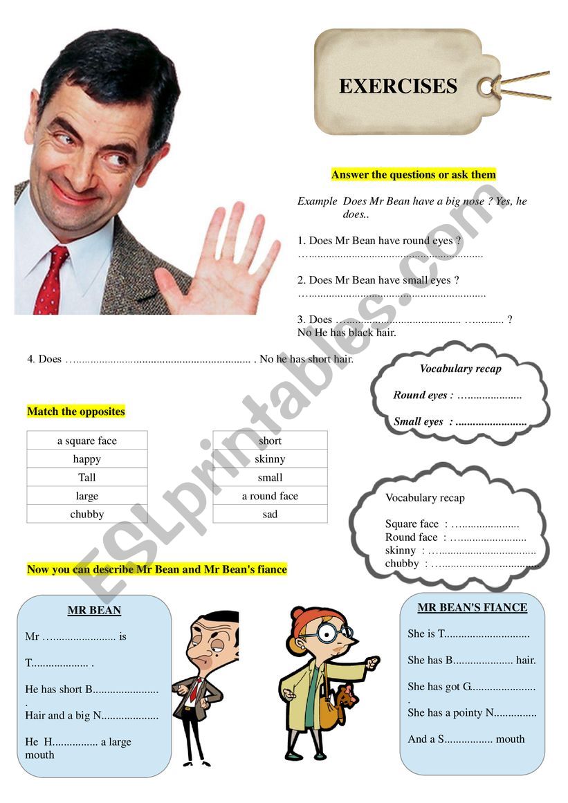 mr Beans appearance  worksheet