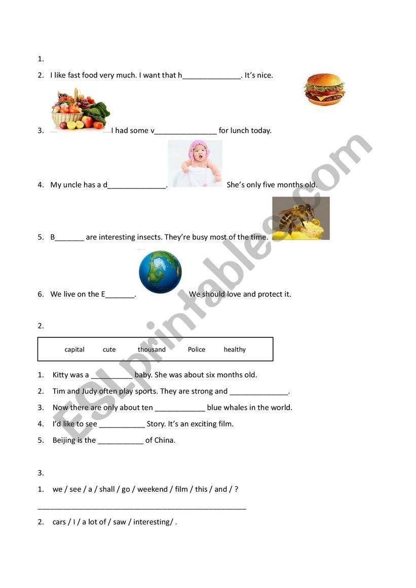 quiz  worksheet