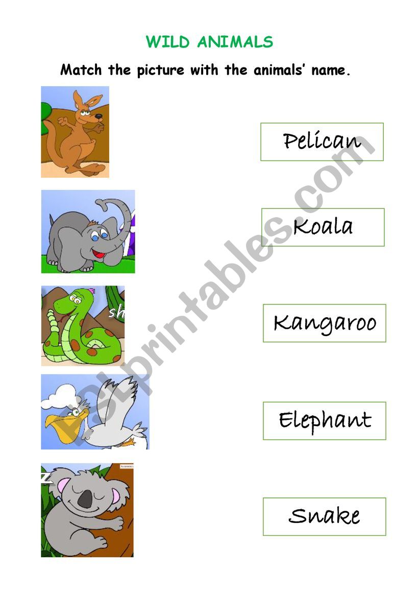 Wild Animals worksheet