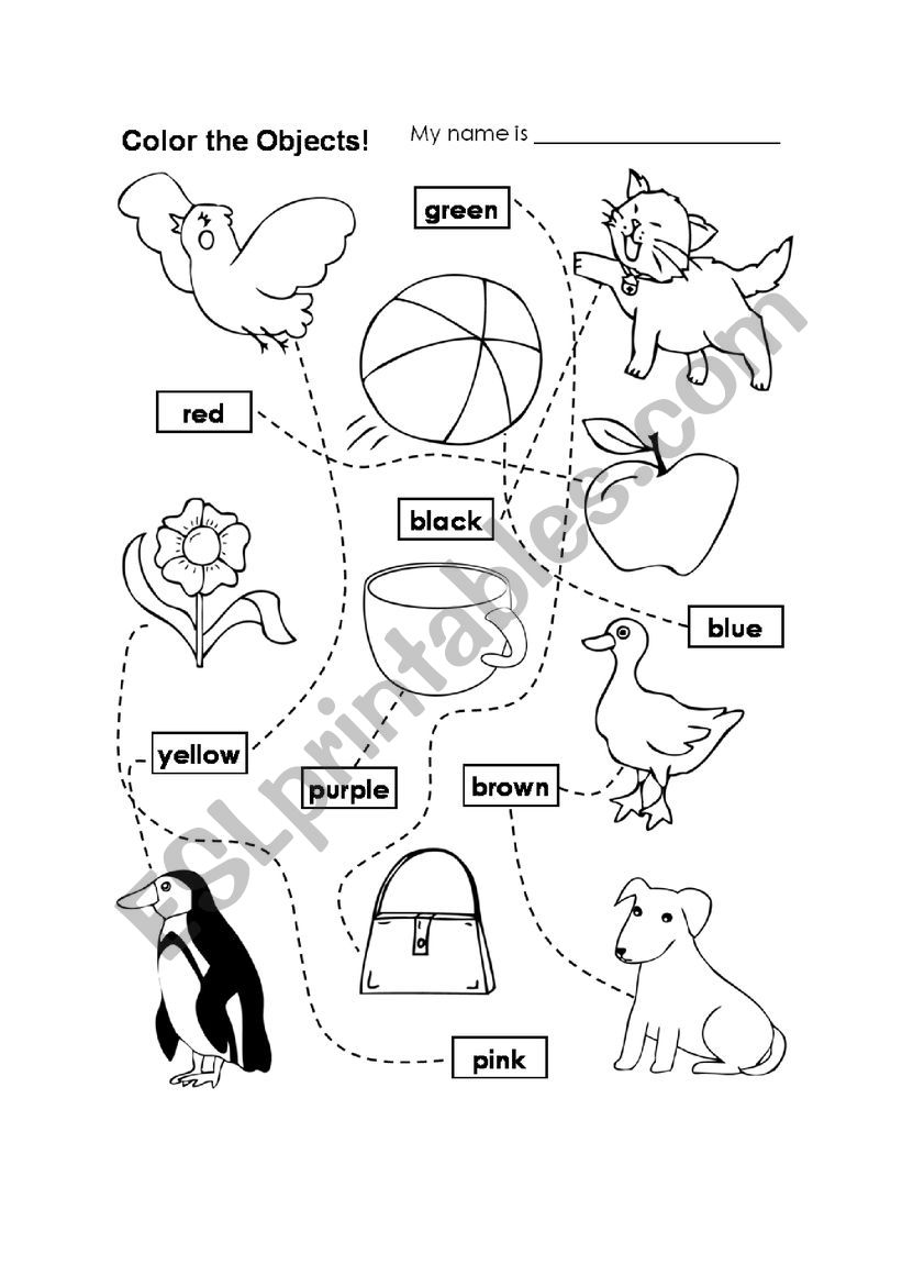 colours worksheet worksheet
