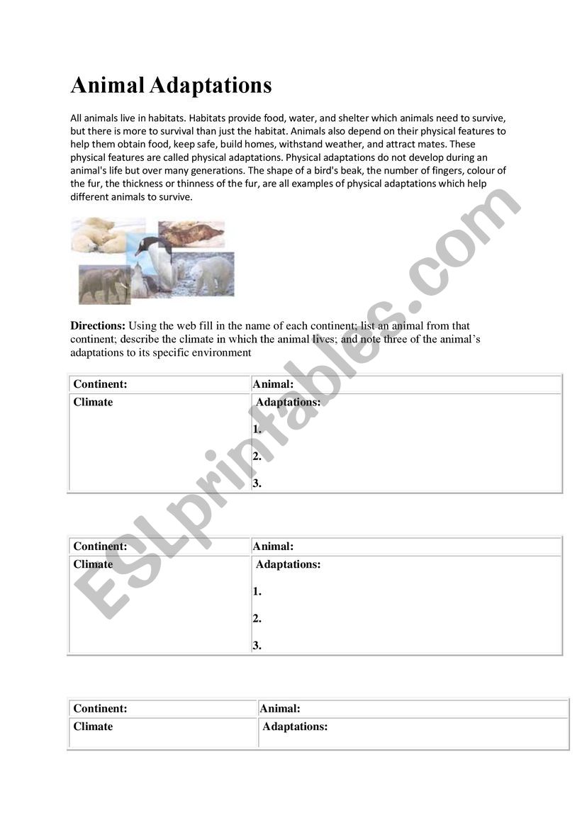 Animal Adaption worksheet