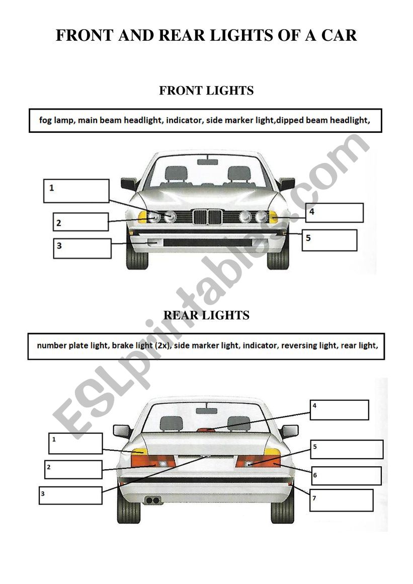 Front and Rear Lights of a Car