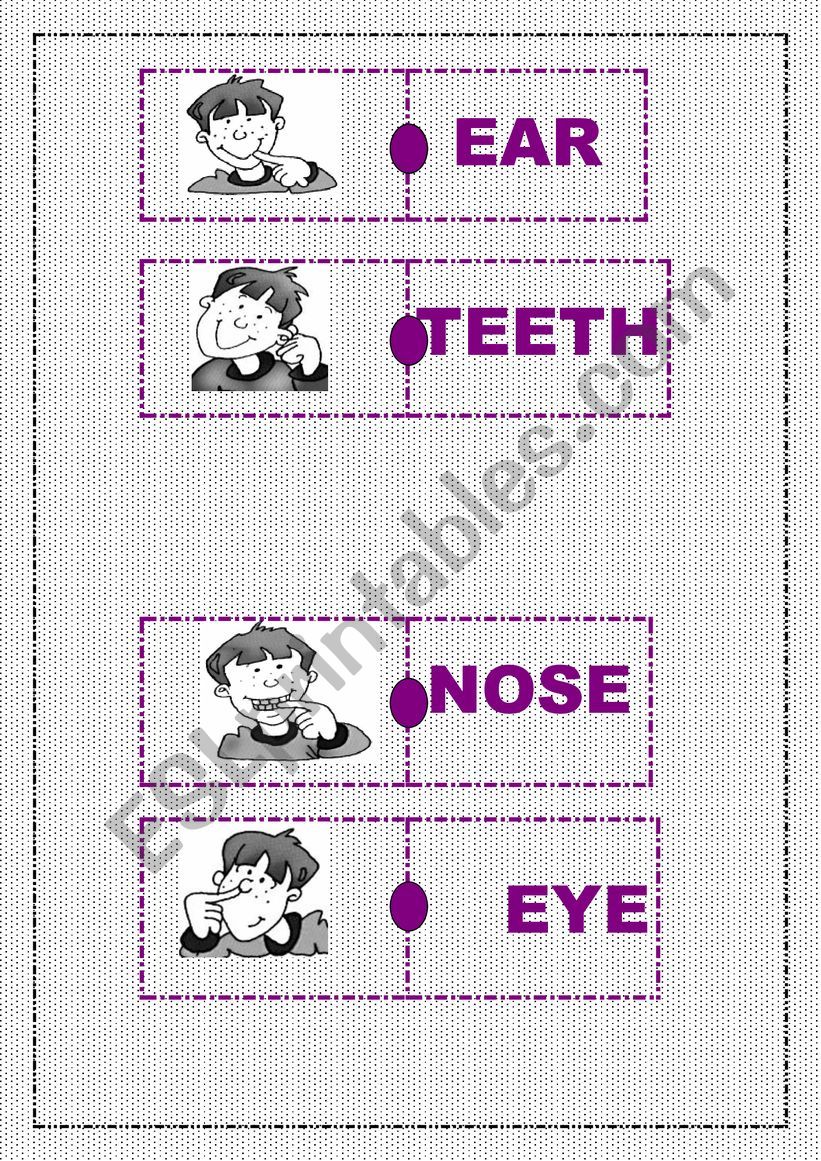 body domino worksheet