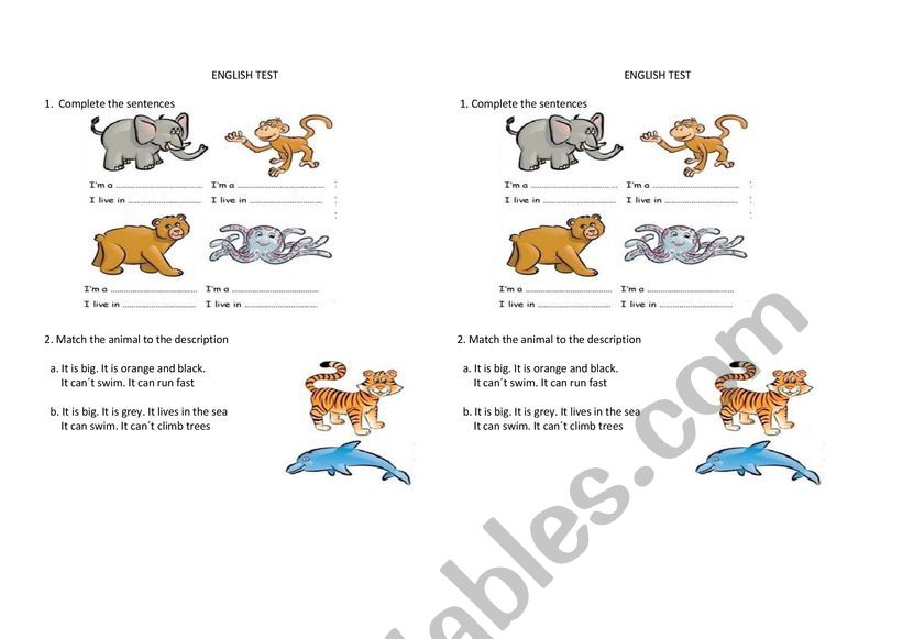 wild animals worksheet