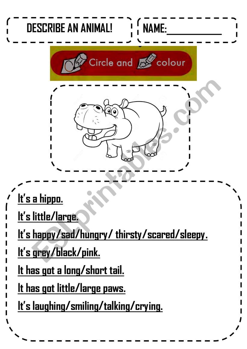 Describe an animal worksheet
