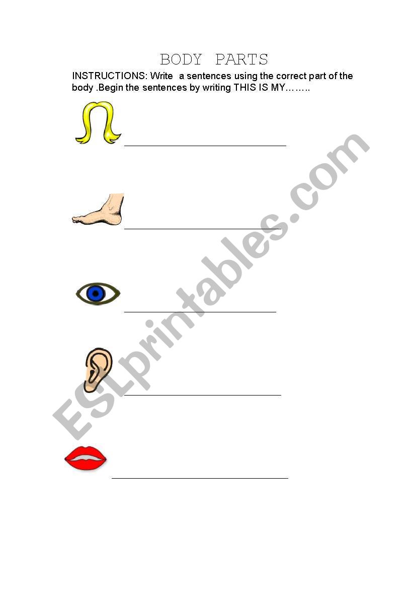 Body parts worksheet