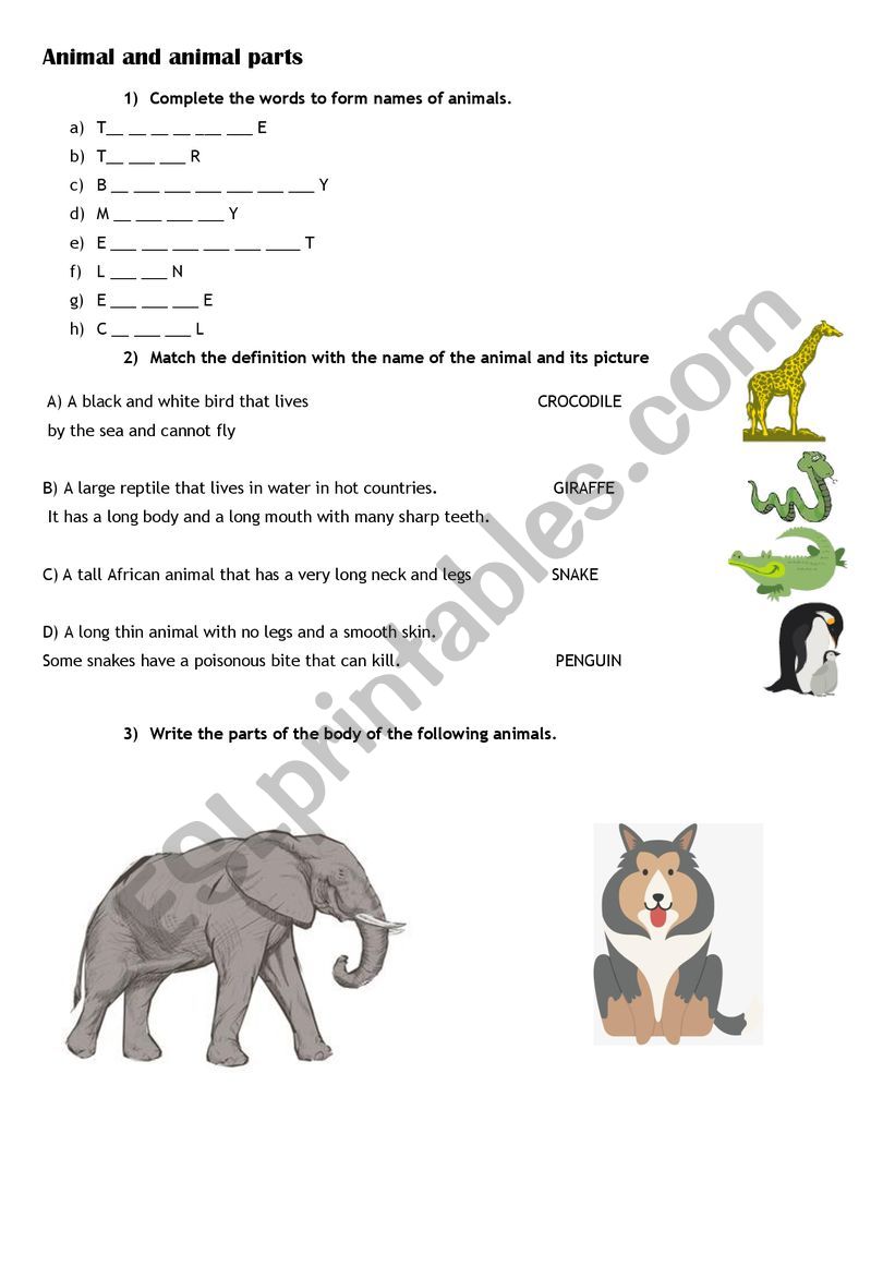 Animals worksheet