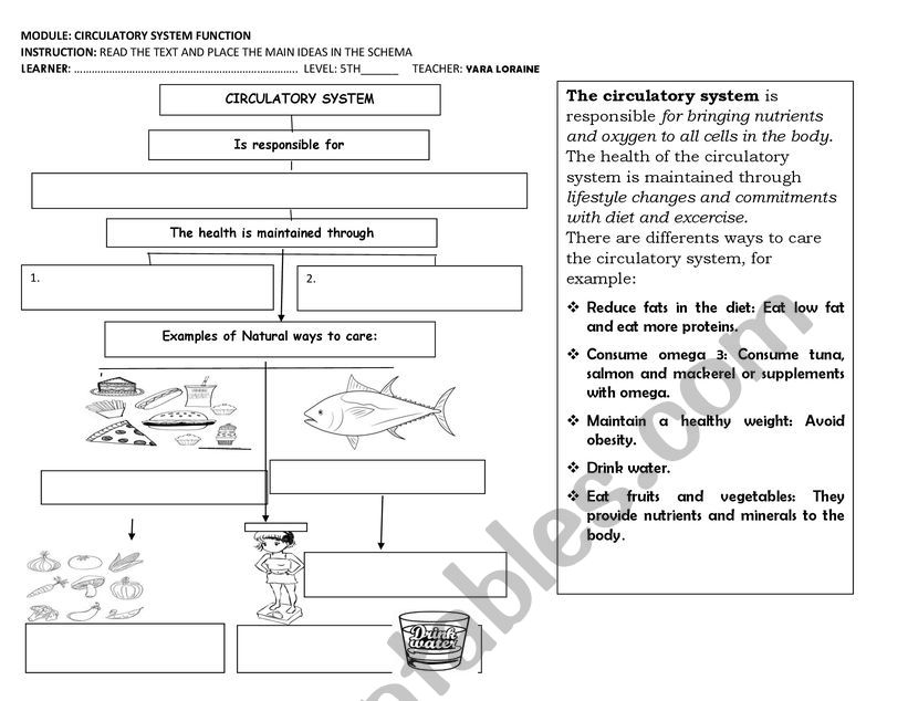 CIRCULATORY SYSTEM CARE  worksheet