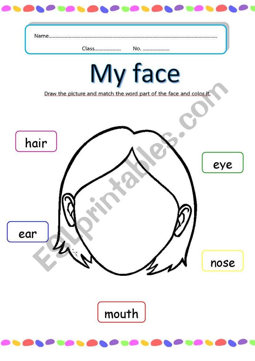 my face worksheet