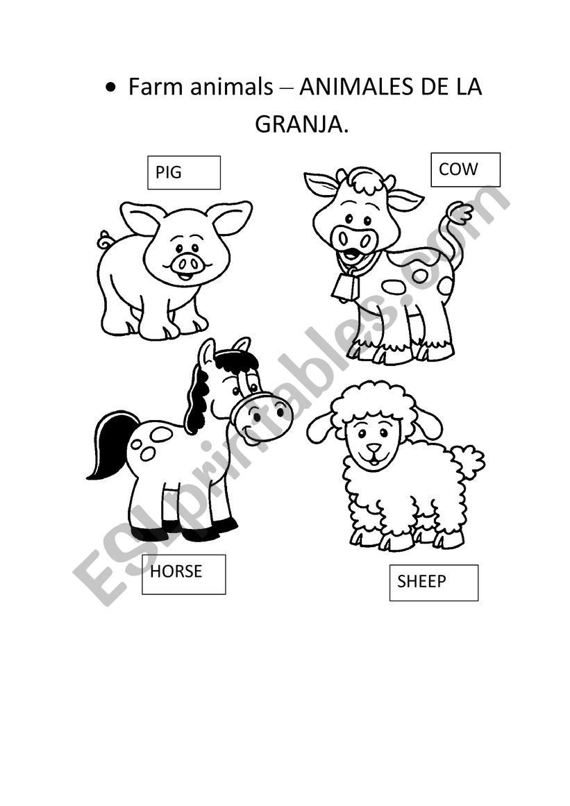 Farm Animals worksheet