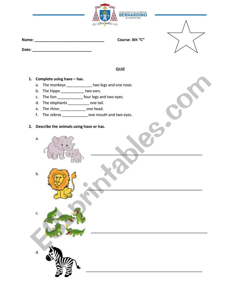 Have / has worksheet