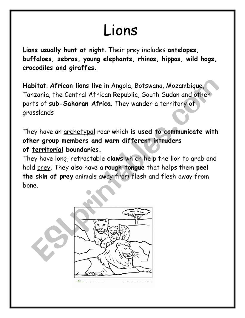 LIONS MAIN MAP worksheet