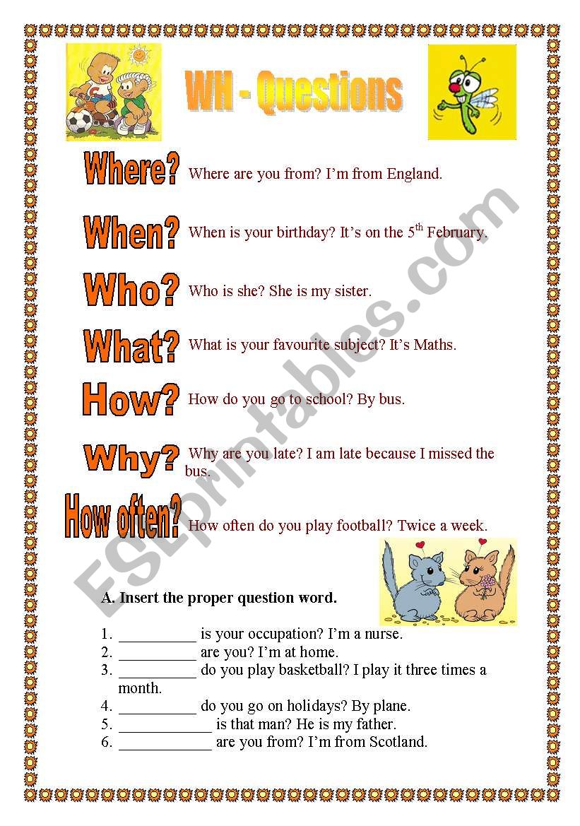 Question Words (20.08.08) worksheet