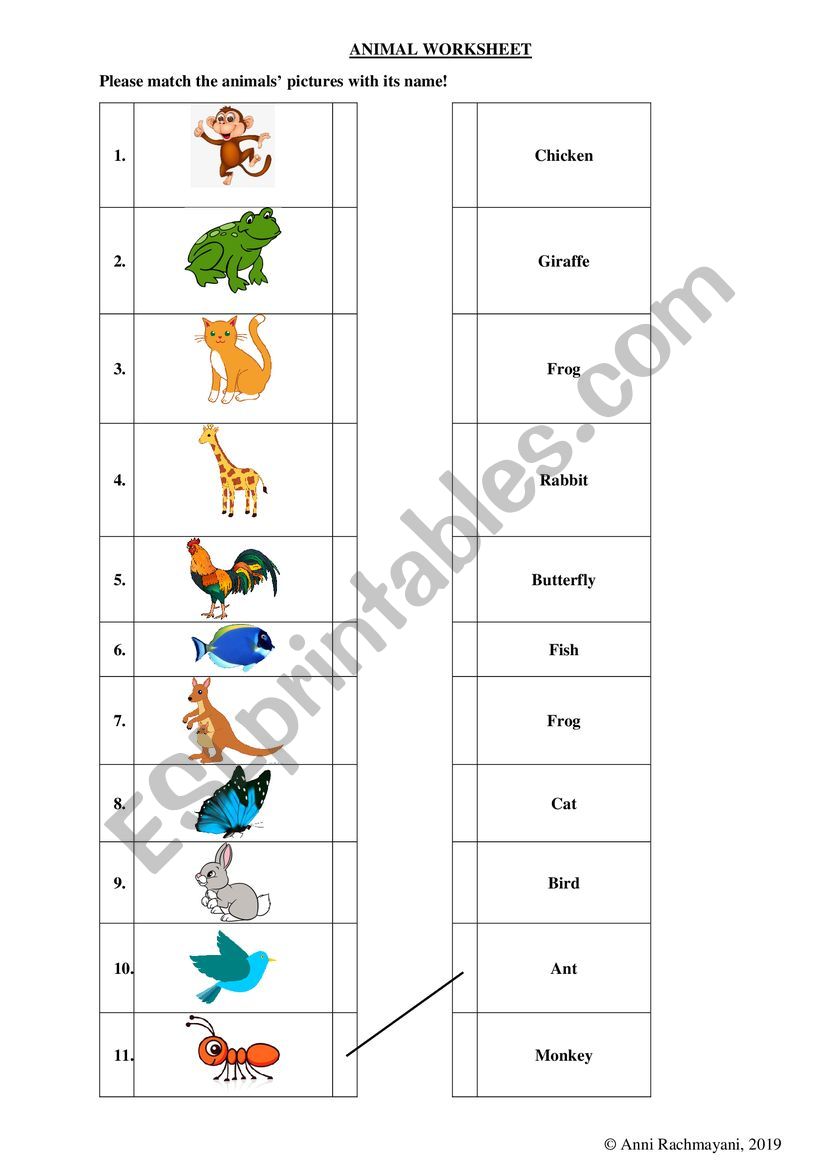 Animal Worksheet worksheet