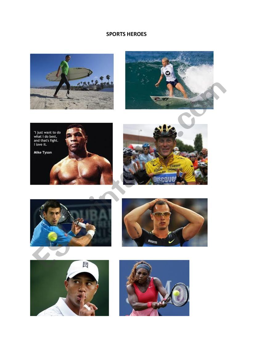 8 photos of sport champions worksheet