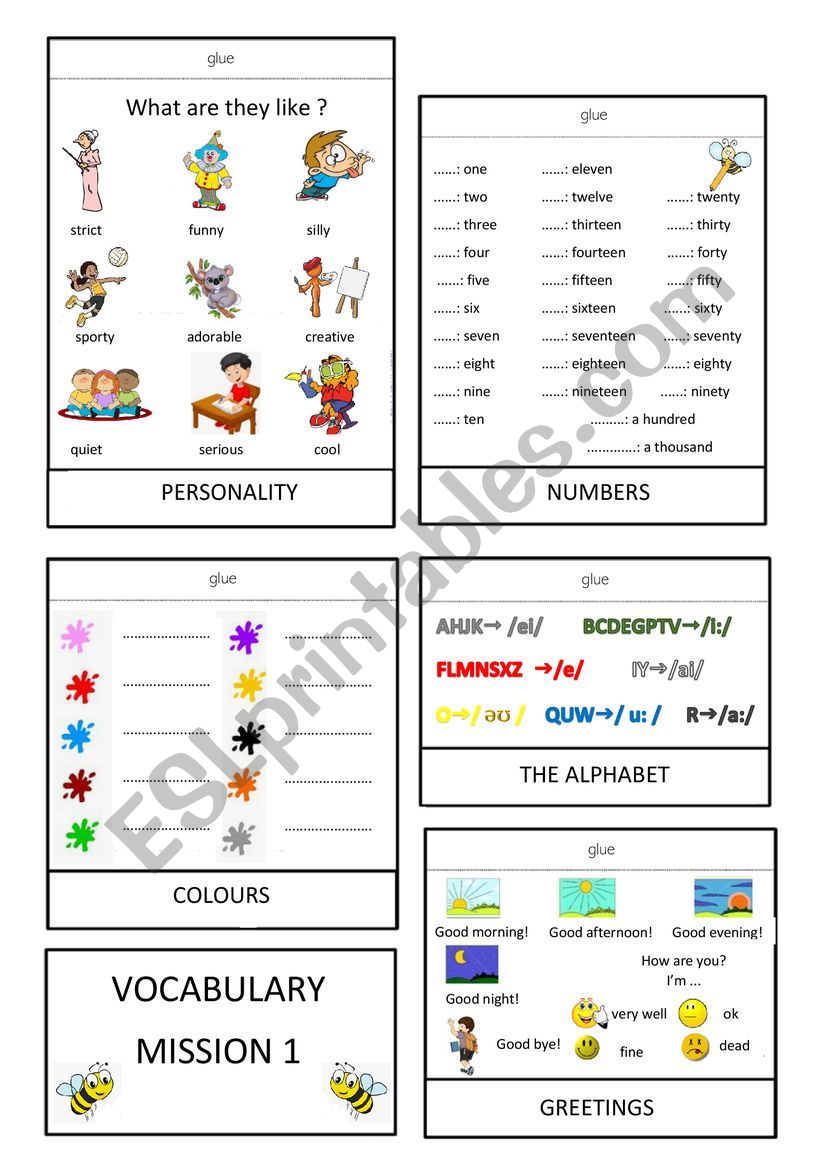 Beginners vocabulary flapbook /lapbook