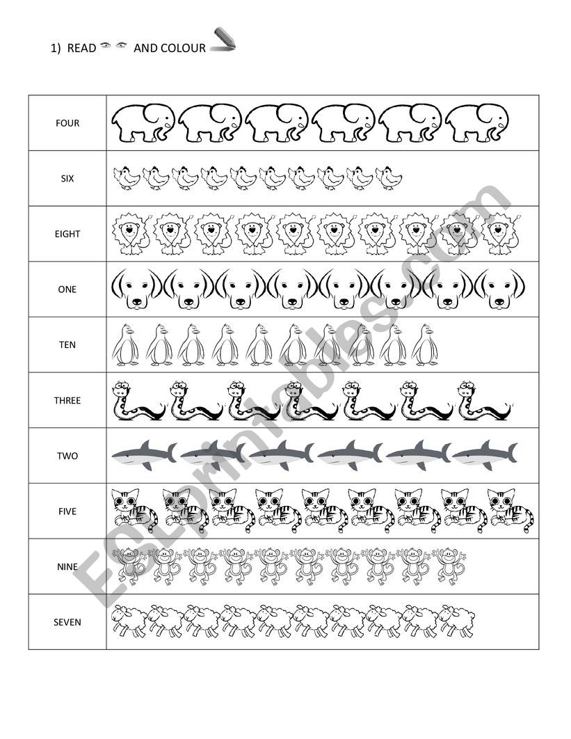 Read and colour the amount of animals