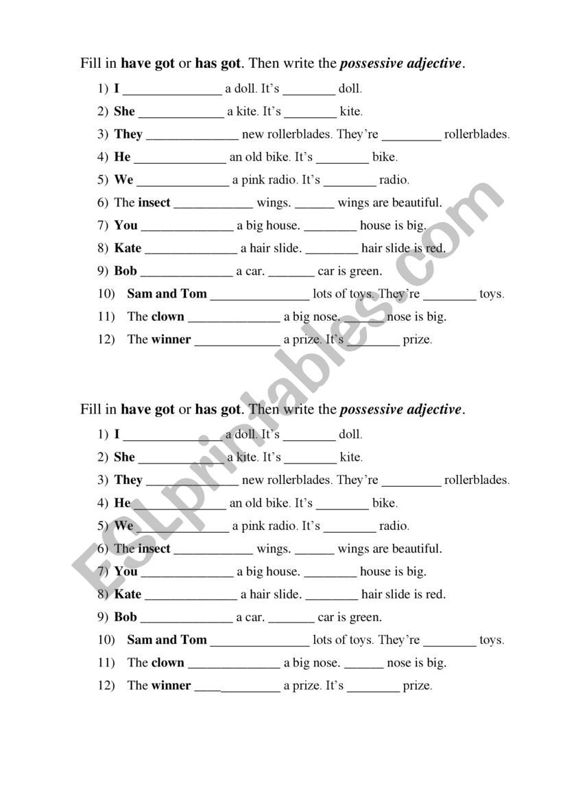 Possessives and have got worksheet