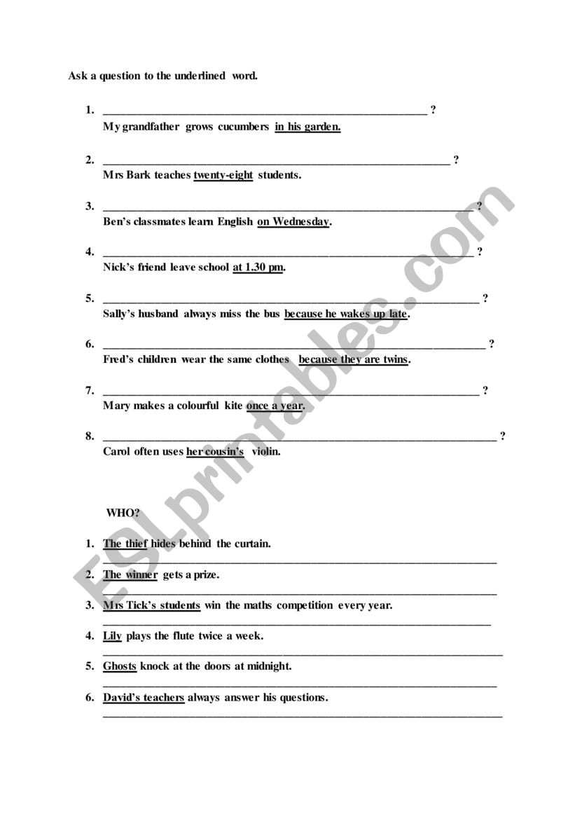 Present Simple, Wh-questions worksheet