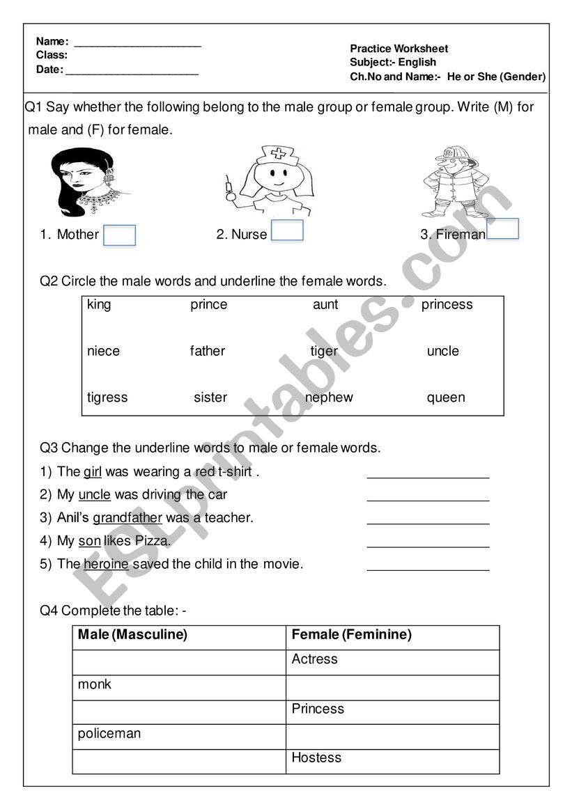 Gender worksheet