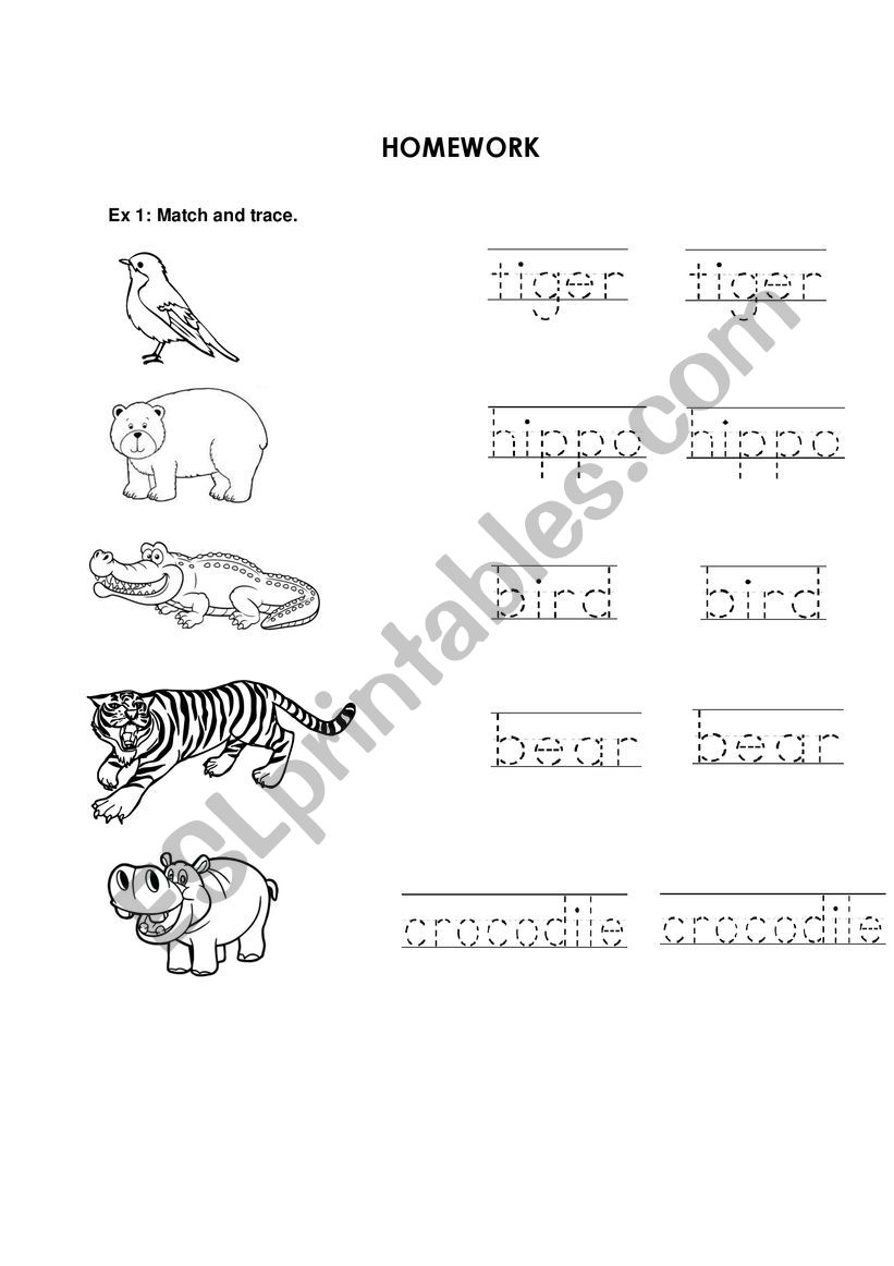 worksheet family and friends starter