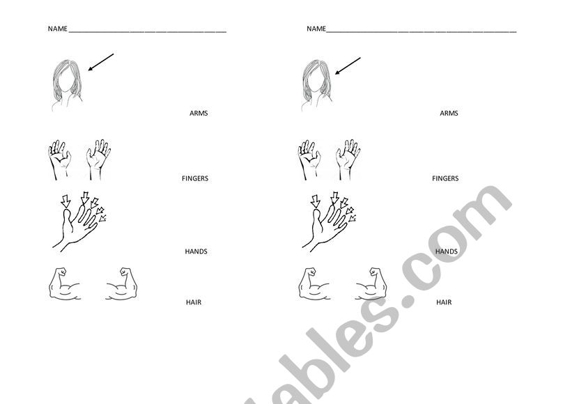 body parts  worksheet