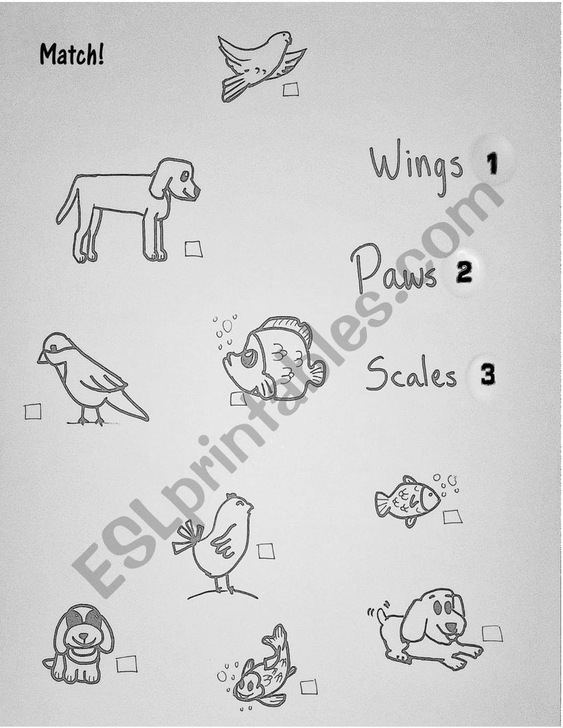 Wings, Paws and Scales. A Matching Exercise (B&W)