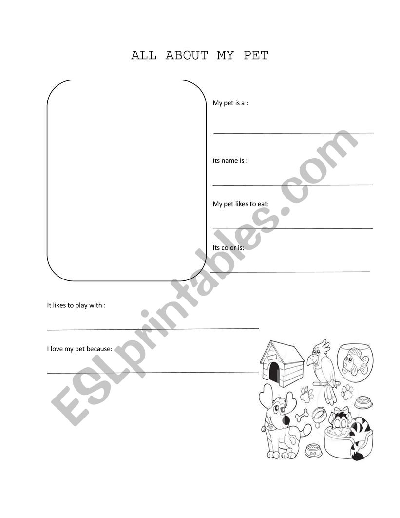 all about my pet worksheet