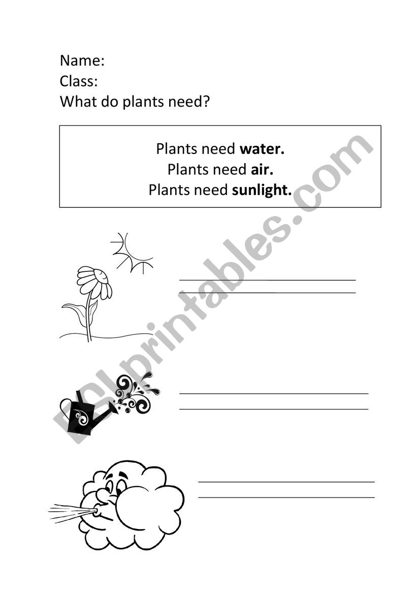 PLANTS worksheet