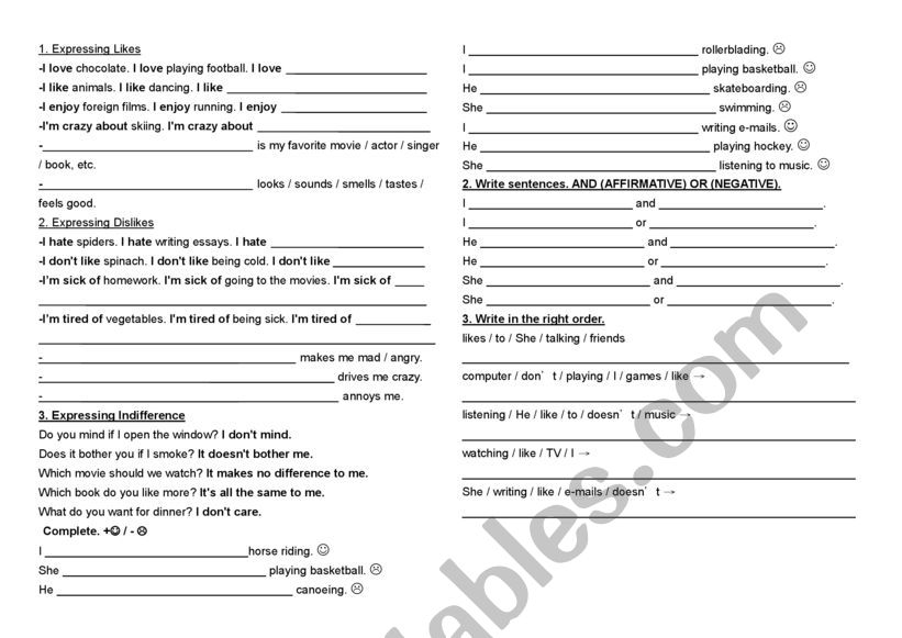 Likes and Dislikes Worksheet worksheet