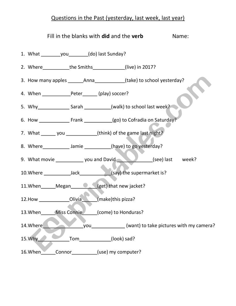 Past Simple Questions worksheet