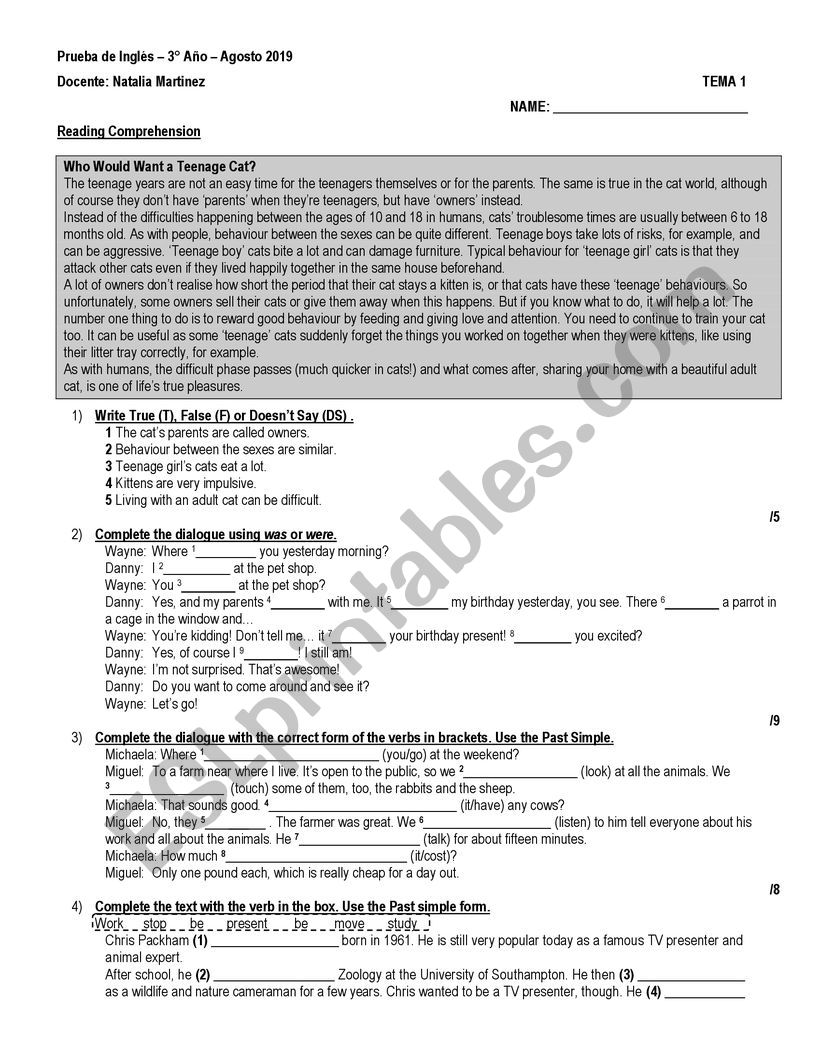 Past Simple Test worksheet