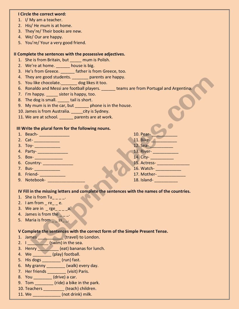 Revision of basic structures 3