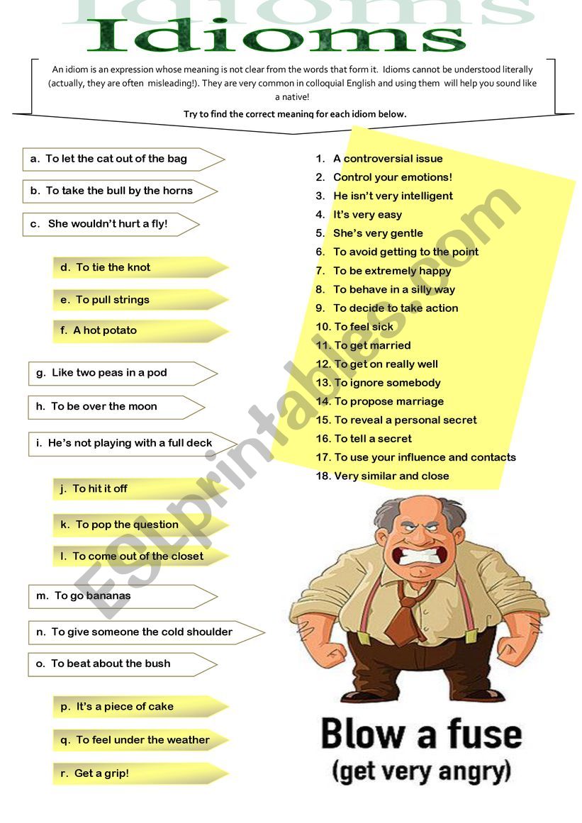 IDIOMS worksheet