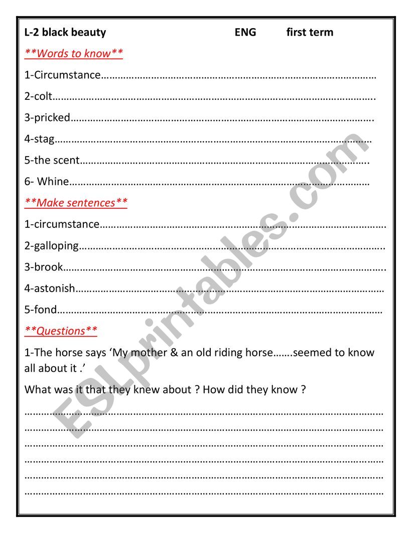 black beauty worksheet