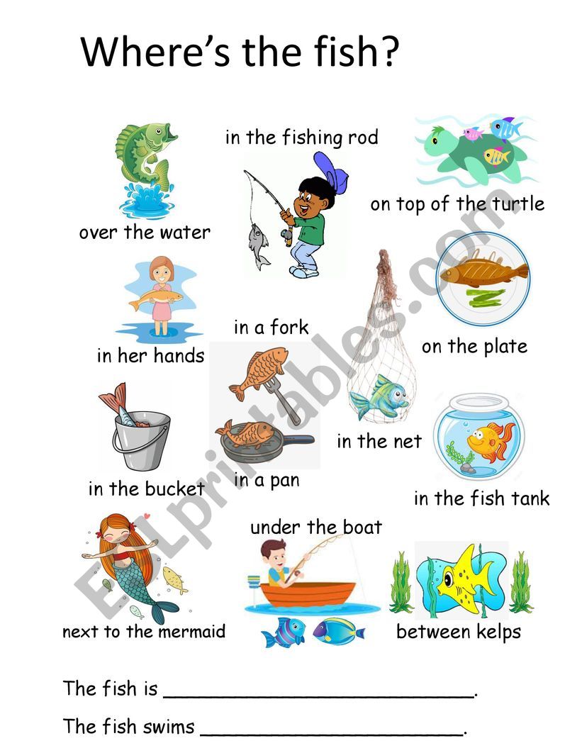 Ocean Theme: Preposition worksheet