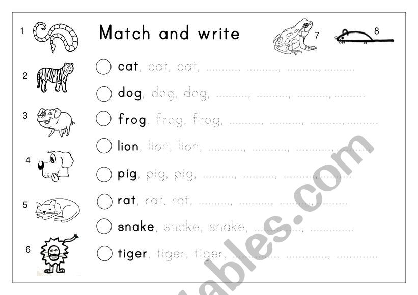 Matching worksheet