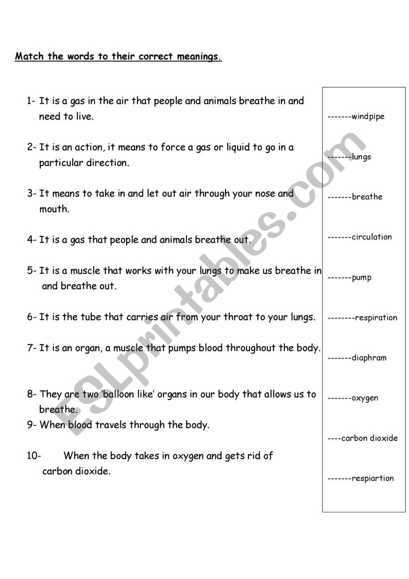 organs worksheet