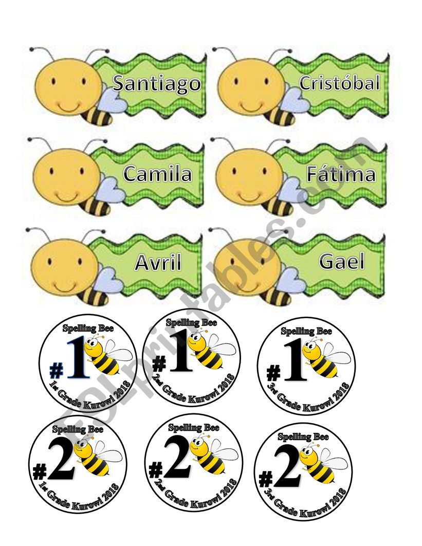 bees worksheet