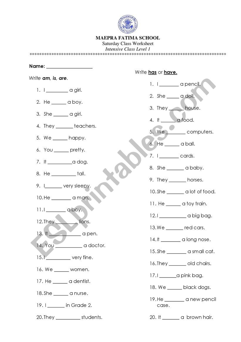 HAS/HAVE , IS/ARE/AM worksheet