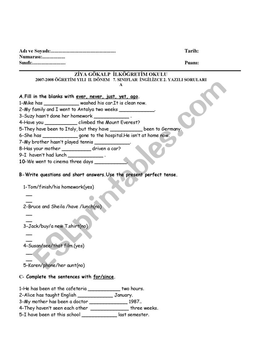  present perfect tense worksheet