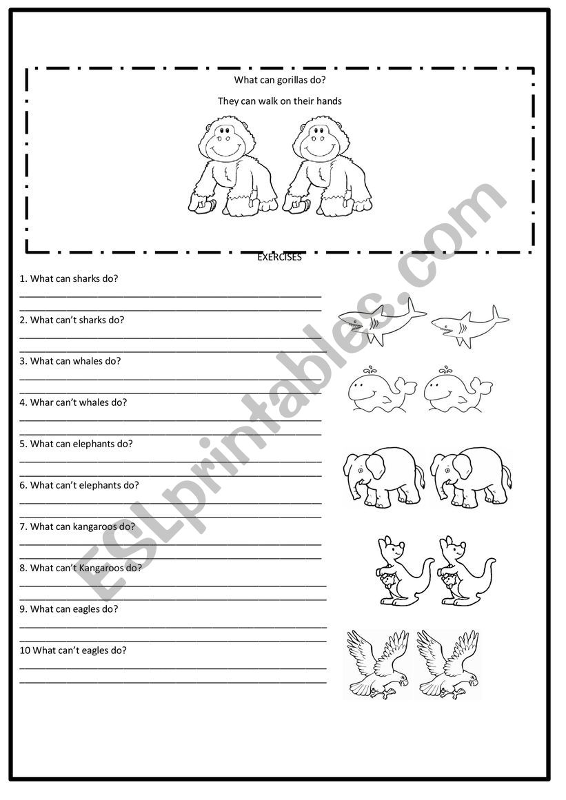 Wild animals worksheet