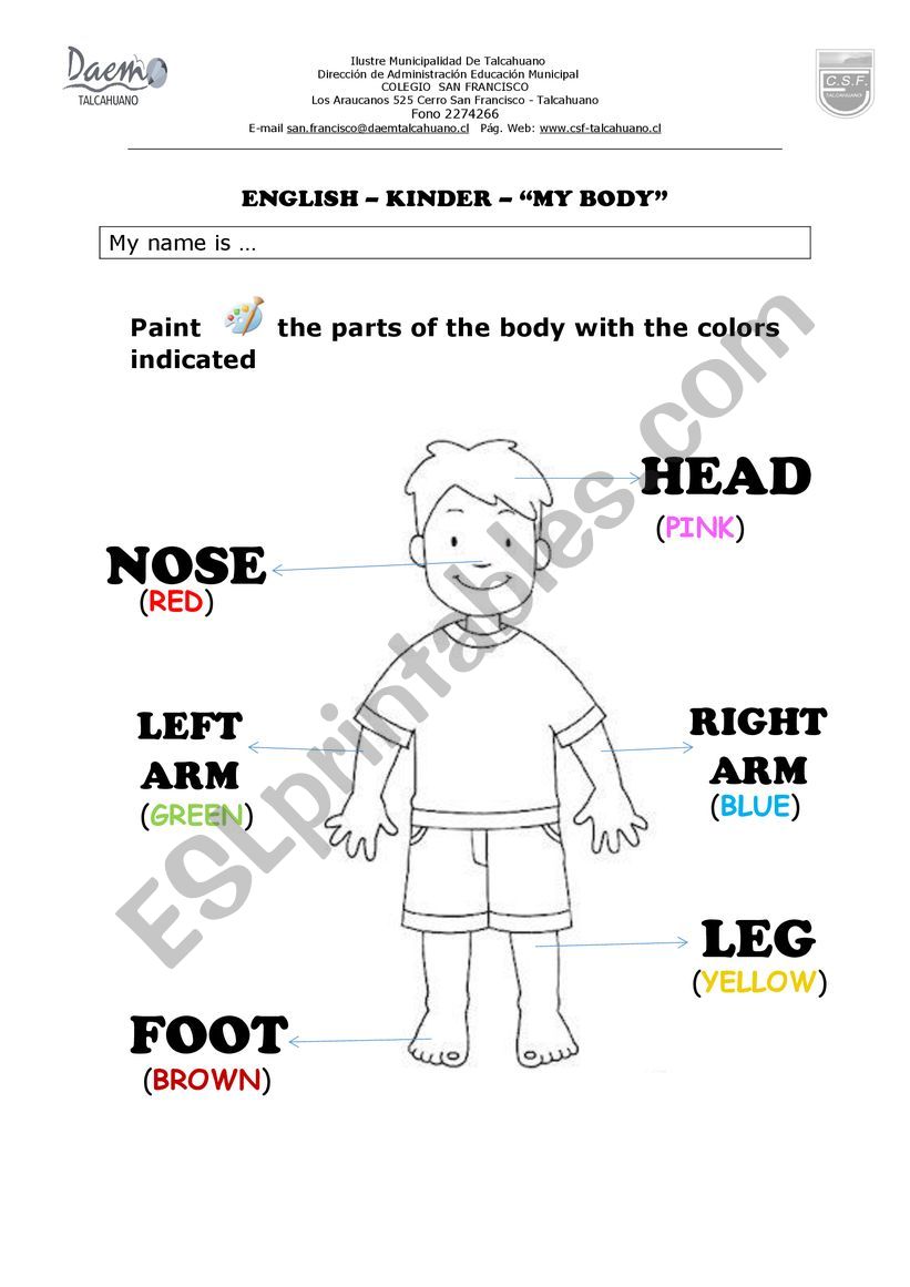 Body parts - elementary EFL worksheet