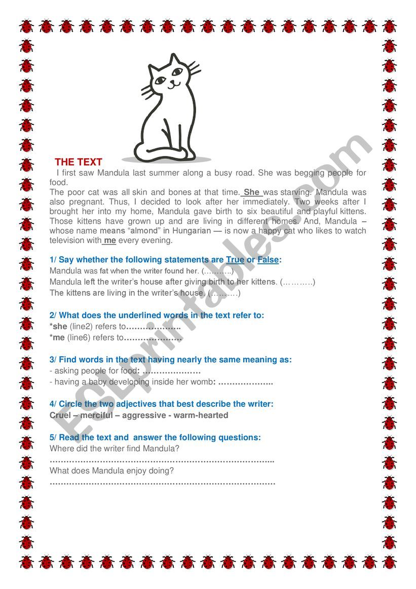 THE TEXT worksheet