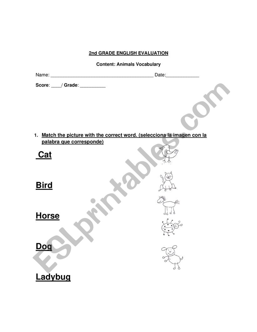 animals test worksheet