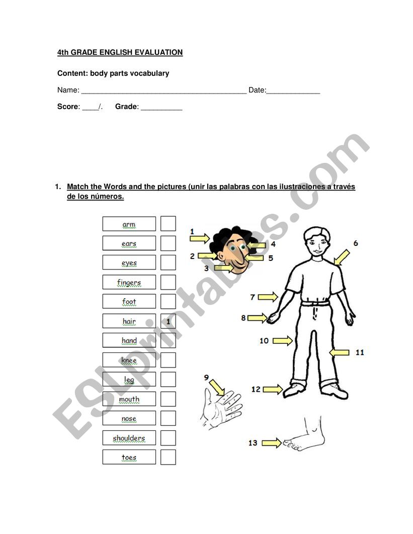 body parts worksheet