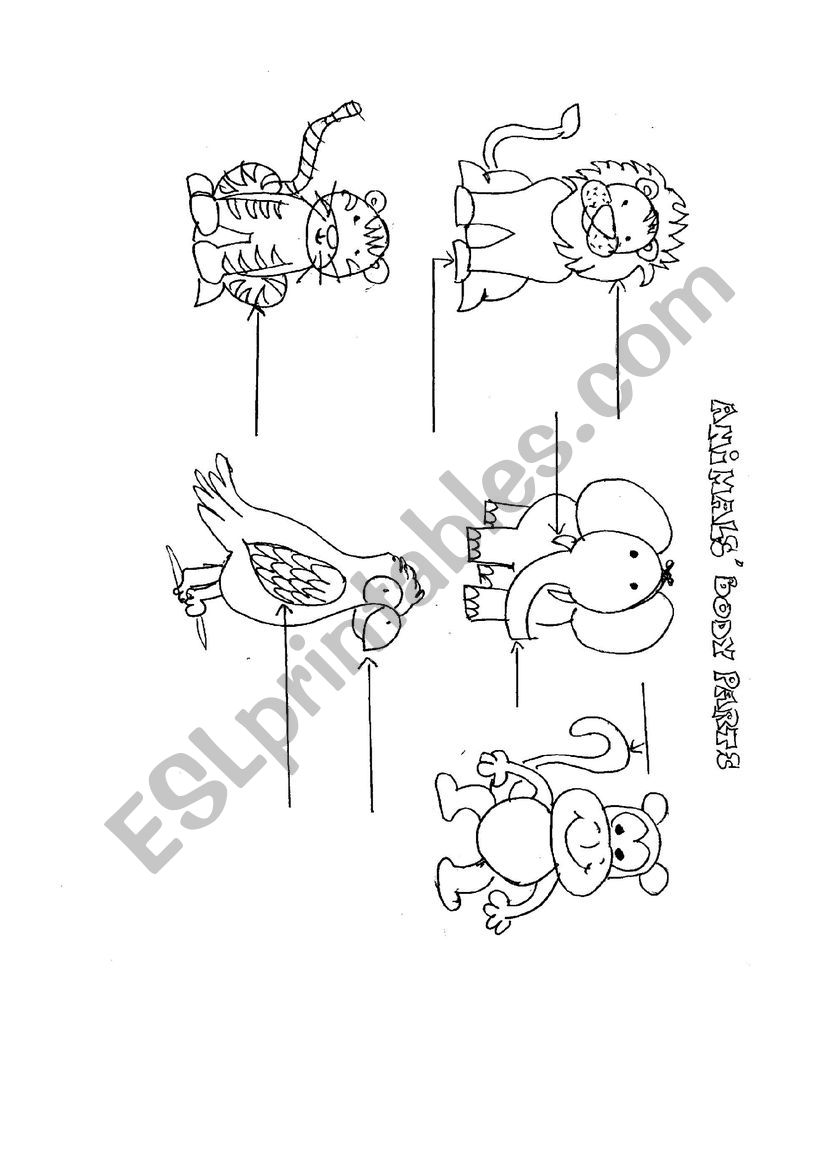ANIMALS´ BODY PARTS worksheet