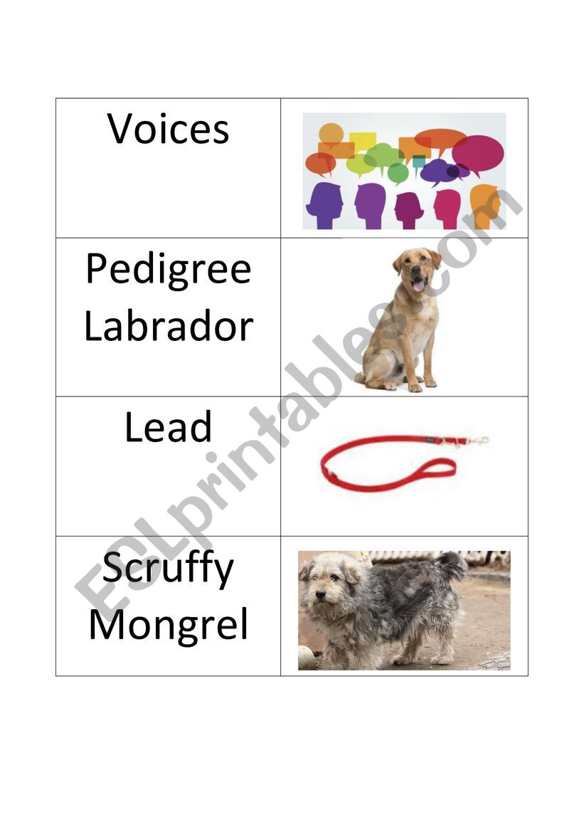 Voices in the Park Flashcards worksheet